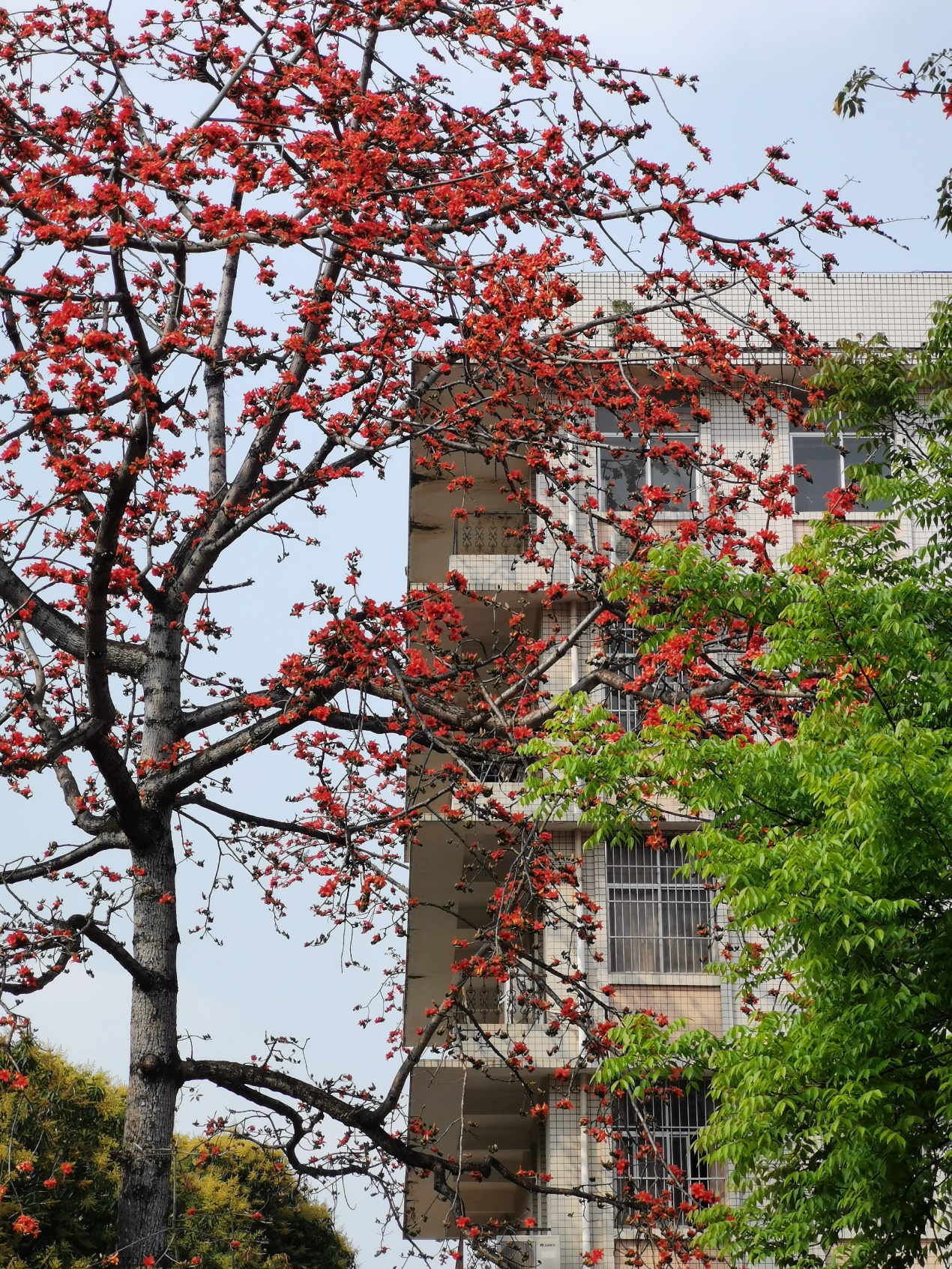 广西大学机械工程学院图片